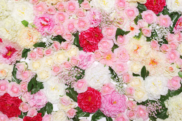istock Many different colorful flowers, floral decorated wall for background 1311424786