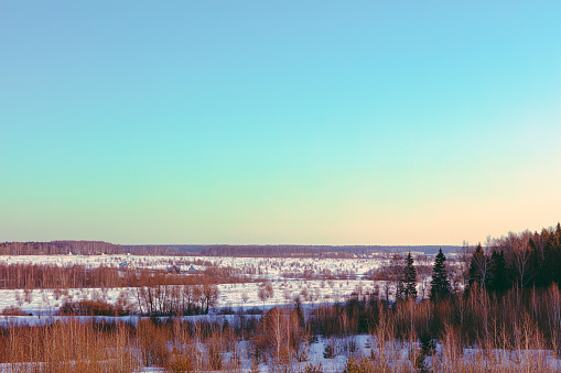 winter forest landscape - blue sky