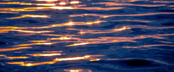 istock Sea waves with sunset light reflecting on the water. 1311424869