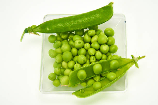istock Pea Pod, Pea Isolated on White Background. 1311426313