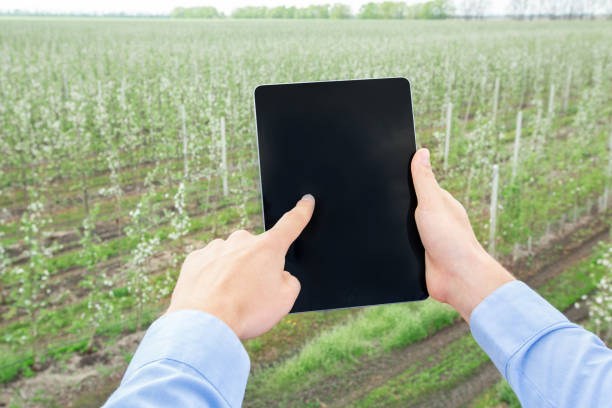 istock Garden industry, management with smart device and modern business 1311427237