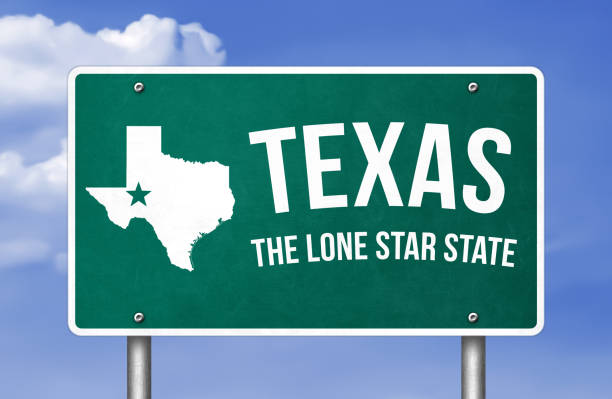 istock Texas State - Texas Road sign illustration 1311428701