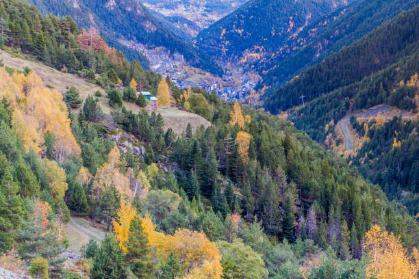istock Forests of Arinsal valley in Andor 1311430229