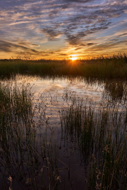 istock magical sunset on the lake 1311431768