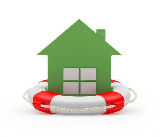 istock Green house lifebuoy icon 1311431850