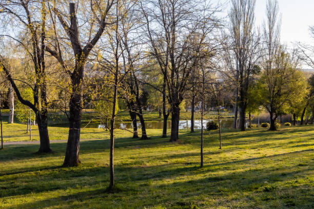 istock Gilbert felters park, in Aix-en-Provence 1311434944