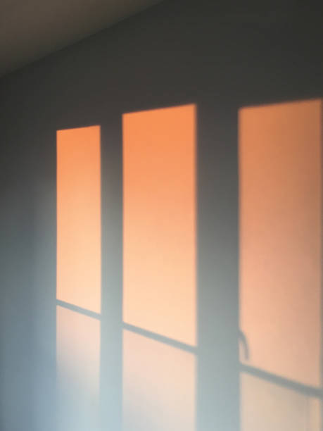 istock Window shadow on the home interior wall background 1311435438