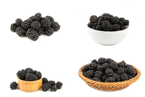 Collage of fresh blackberry isolated on white background. Top view. Healthly food