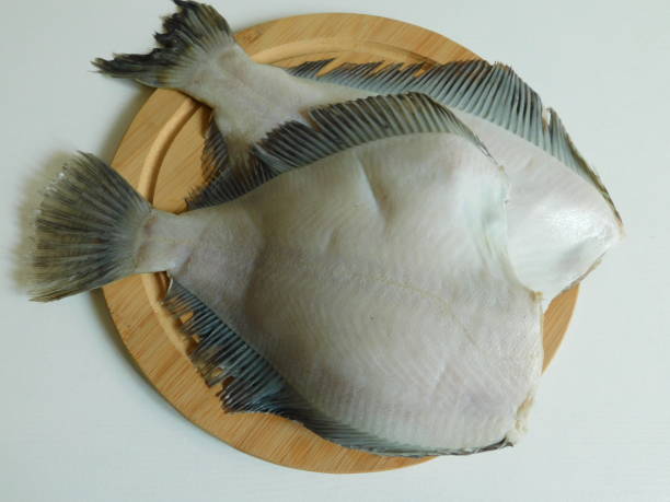 istock two fresh flounders, large and small, before cooking. 1311437538