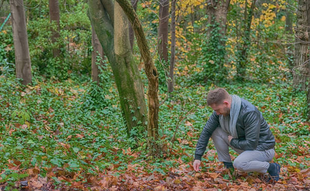 istock young man bending down to pick up leaves from the ground 1311438784