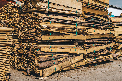 Large piles of wood planks in timber yard