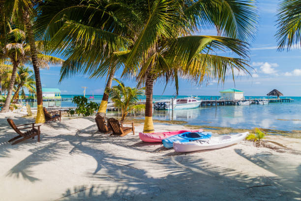 Palms and beach at Caye Caulker island, Beli Palms and beach at Caye Caulker island, Belize cay stock pictures, royalty-free photos & images