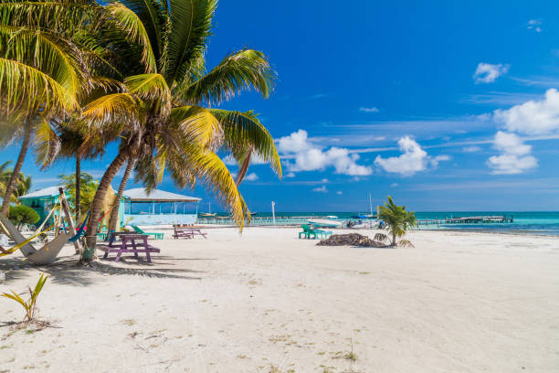 istock Palms and beach at Caye Caulker island, Beli 1311439215