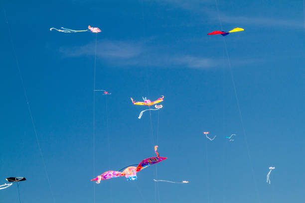 istock Kites flying in the sky 1311440168