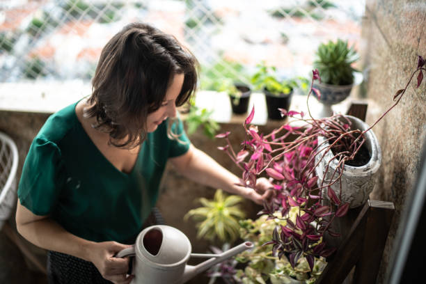 istock Mature woman watering plants on balcony 1311441739