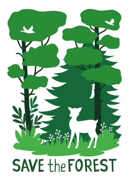 illustrations, cliparts, dessins animés et icônes de enregistrer l’illustration de vecteur de concept de forêt - faon