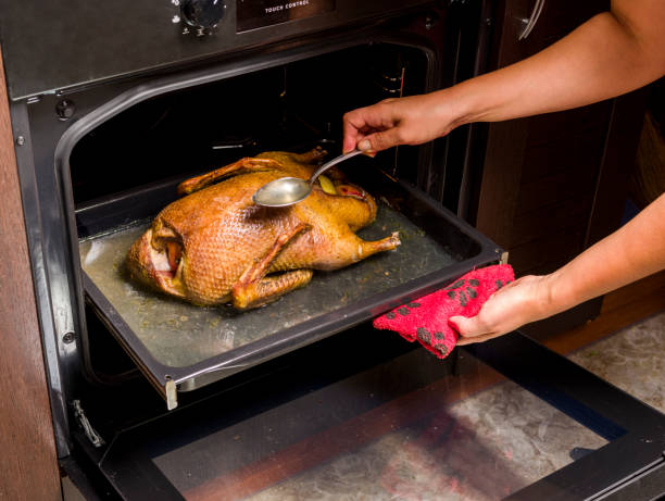 istock a duck on in a home electric oven 1311444273