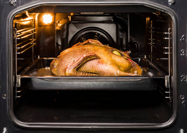 istock a duck on in a home electric oven 1311444284