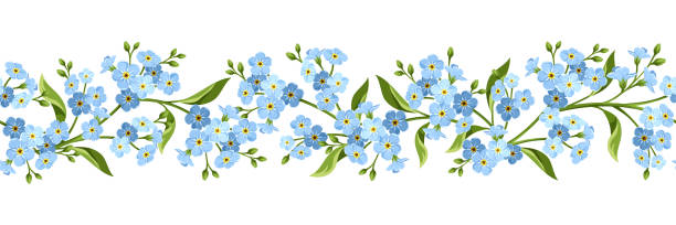 ilustrações de stock, clip art, desenhos animados e ícones de horizontal seamless border with blue forget-me-not flowers. vector illustration. - miosótis