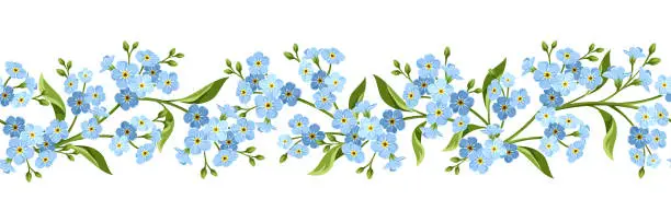 Vector illustration of Horizontal seamless border with blue forget-me-not flowers. Vector illustration.