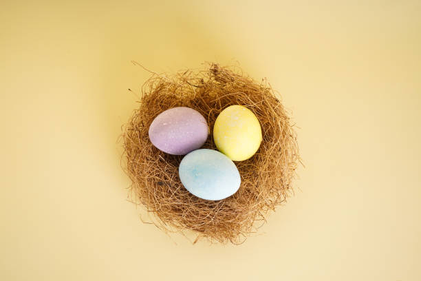 istock Easter eggs in a nest on a yellow background, top view 1311446053