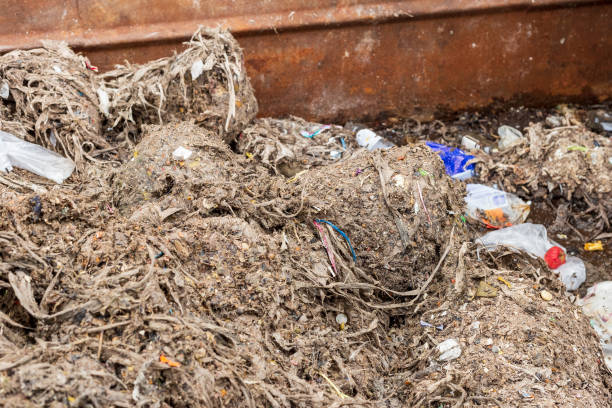 istock Garbage drained from sererage at treatment plant 1311446206