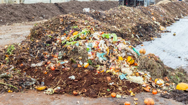 Collected organic waste at landfill for composting