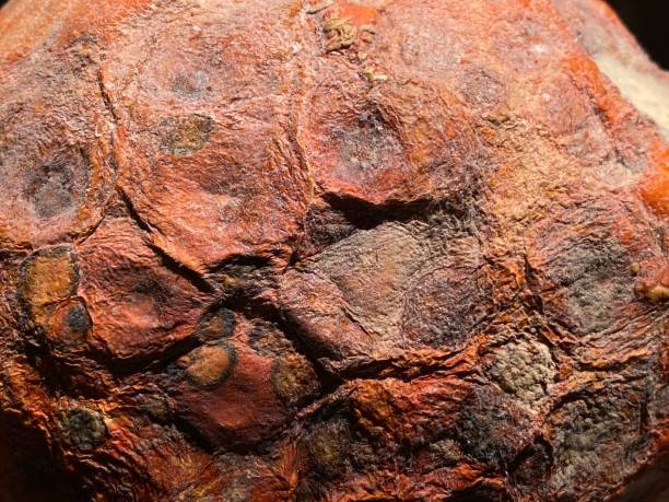 Close-up on a natural orange rotten fruit in decomposition. Background