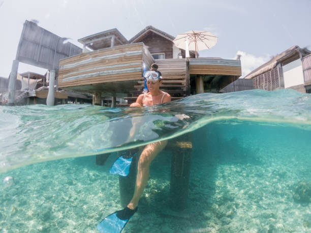 Woman sits on villa stairs prepares for snorkelling Woman enjoys tropical activities while on vacations
Underwater shot vacation rental mask stock pictures, royalty-free photos & images