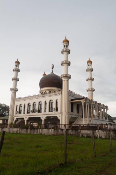 istock Mosque Kaizerstraat in Paramaribo, capital of Suriname 1311451882