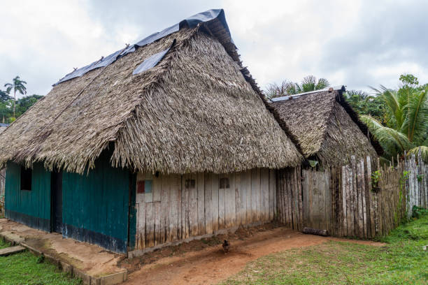 istock View of Pantoja village, Peru 1311452133