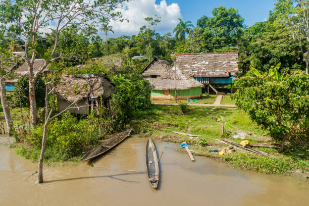 istock Small village in a peruvian jungle along Napo river 1311452136