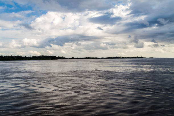 istock View of Amazon river in Brazil 1311452163