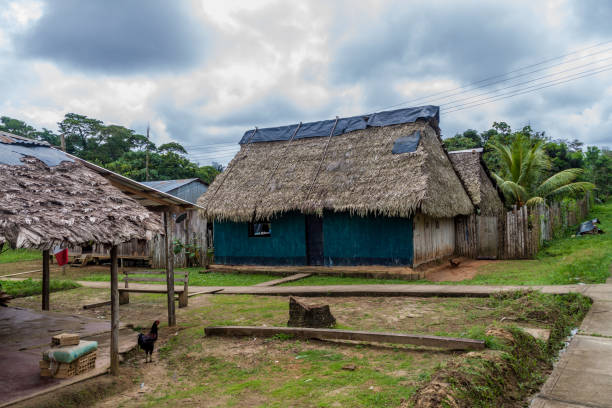 istock View of Pantoja village, Peru 1311452175