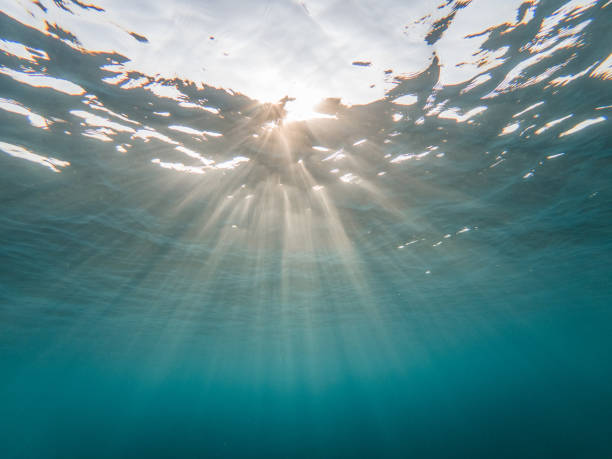 istock Underwater view with sunbeams shining and creating god rays in the deep sea 1311452507