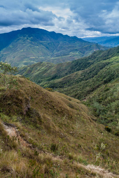 istock Countryside in cloud forest mountains around Leymebamba, northern Peru. 1311452639