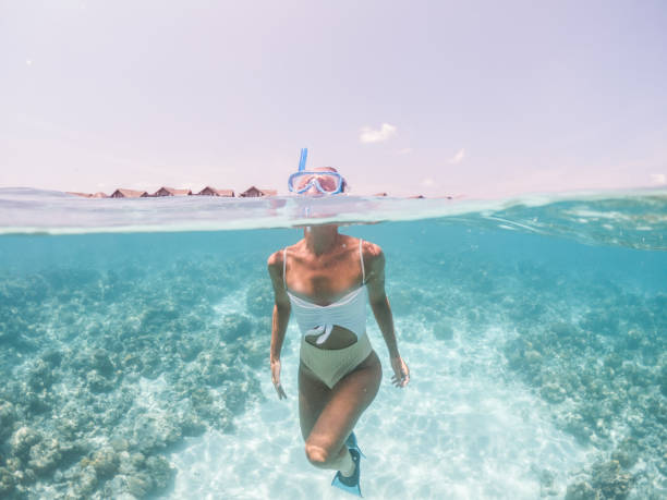 istock Woman snorkels in tropical sea, split screen underwater shot 1311453743