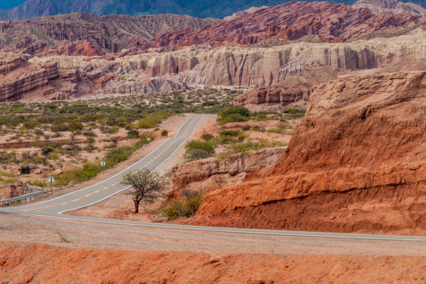 Road in Quebrada de Cafayate valley, Argentina Road in Quebrada de Cafayate valley, Argentina bolivian andes photos stock pictures, royalty-free photos & images