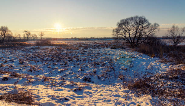 istock Beautiful winter snowy morning landscape 1311458592