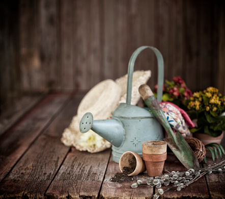 Vintage Garden Tools and Flowers Against a Wood Background