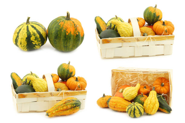 colorful decorative pumpkins and straw in a woven basket on a white background