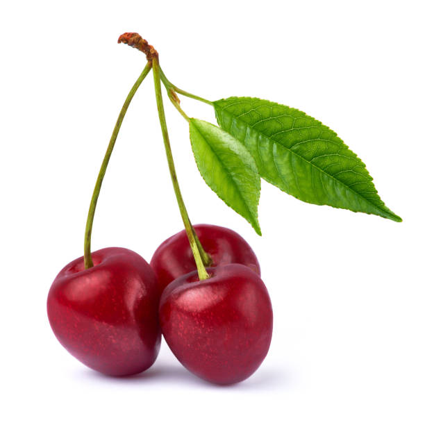 istock sweet cherry fruits isolated on white background 1311460443
