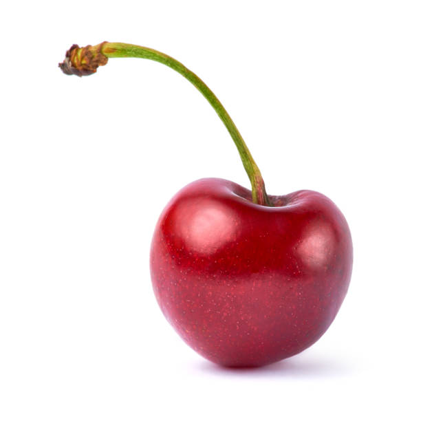istock sweet cherry fruits isolated on white background 1311460459