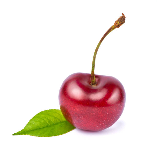 istock sweet cherry fruits isolated on white background 1311460568