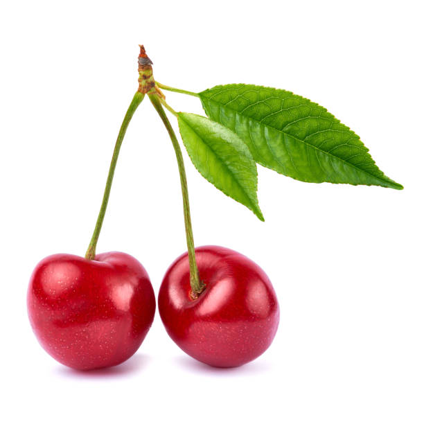 istock sweet cherry fruits isolated on white background 1311460969