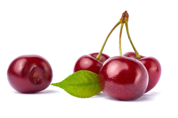 istock sweet cherry fruits isolated on white background 1311461002