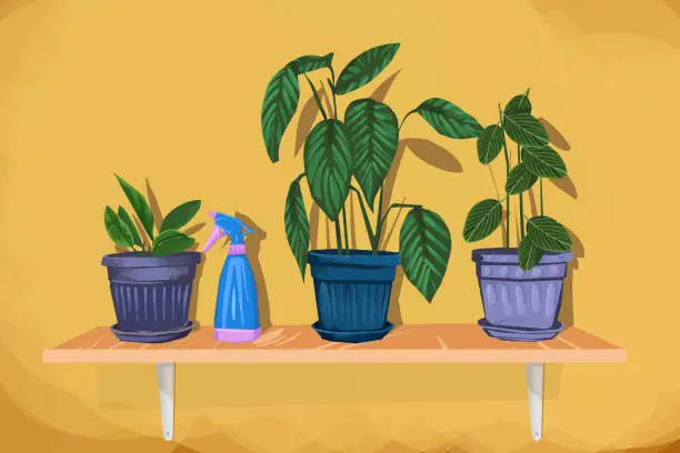 Vector illustration of Collection of different houseplants in pots