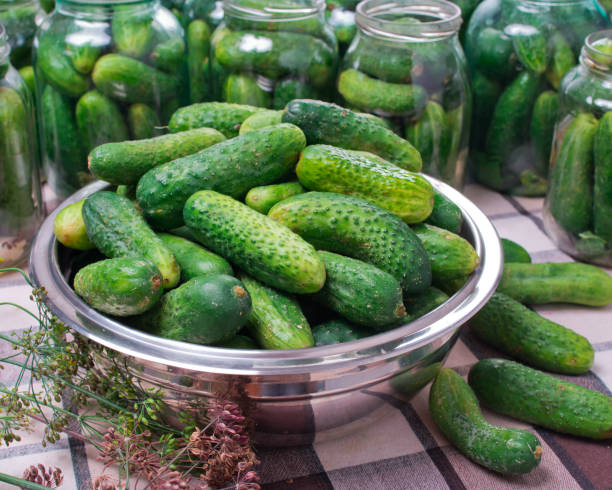 istock Preparation of cucumbers for home canning pickles. 1311466236