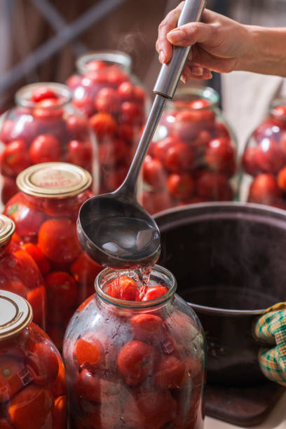 istock canning ripe tomatoes in the cans 1311466314