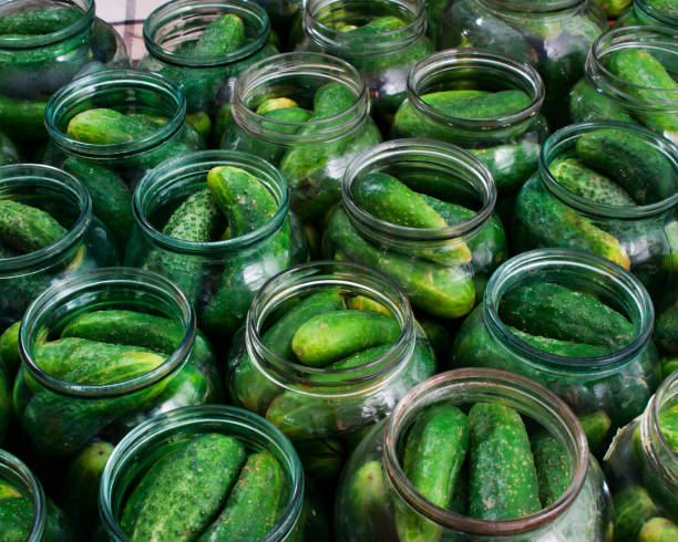 istock fresh cucumbers in cans for canning 1311466339
